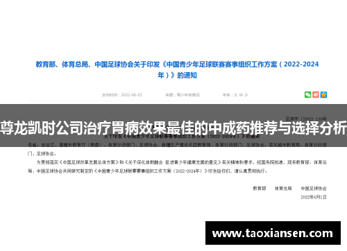 尊龙凯时公司治疗胃病效果最佳的中成药推荐与选择分析