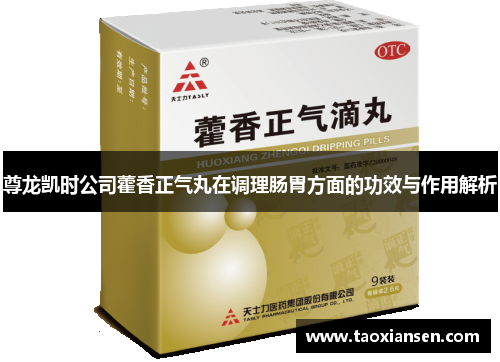 尊龙凯时公司藿香正气丸在调理肠胃方面的功效与作用解析