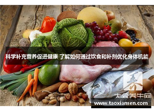 科学补充营养促进健康 了解如何通过饮食和补剂优化身体机能