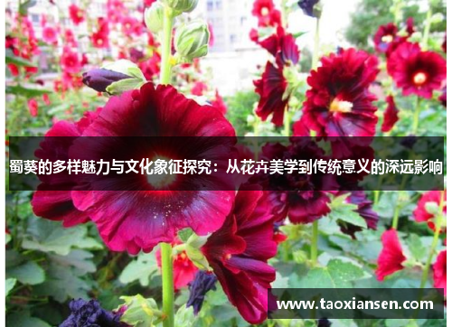 蜀葵的多样魅力与文化象征探究：从花卉美学到传统意义的深远影响
